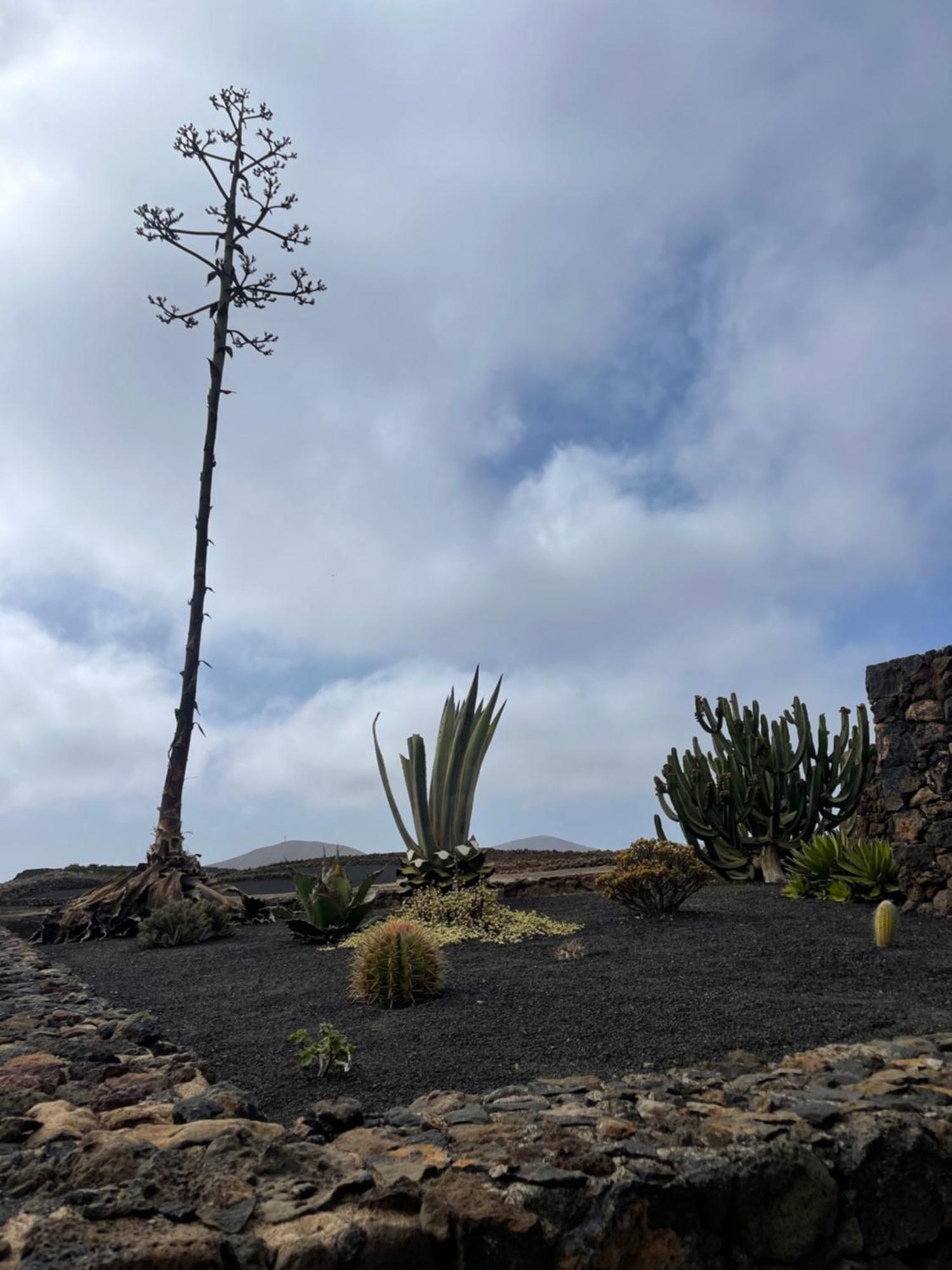 Villa Timanfaya Tinajo Exteriér fotografie