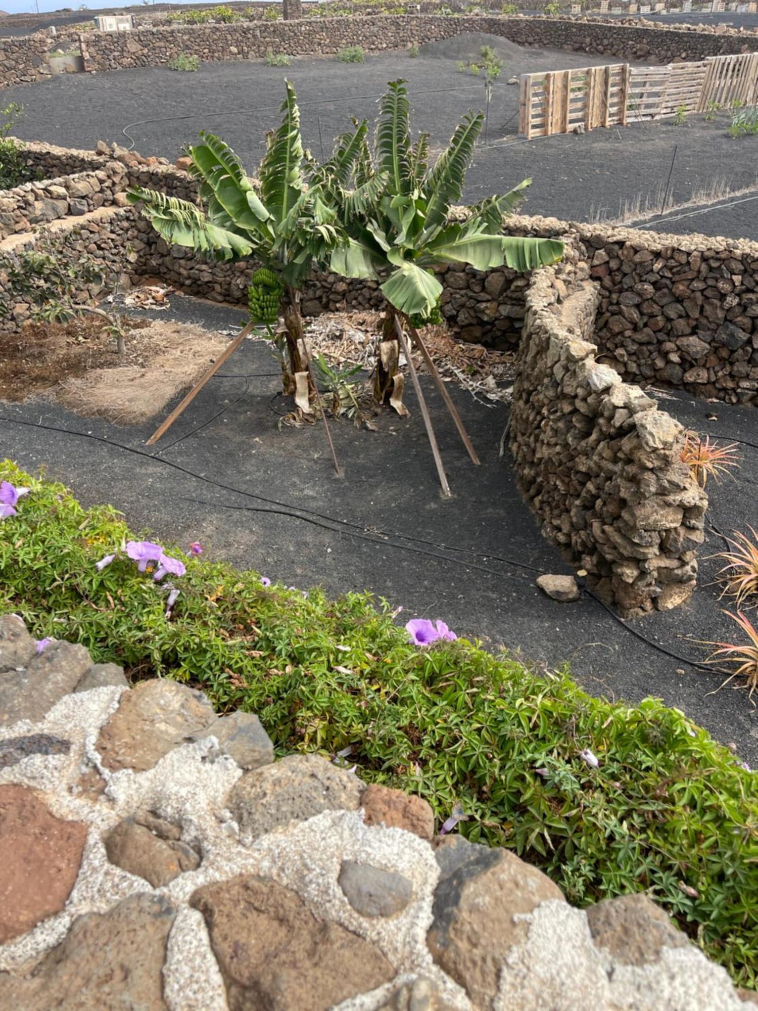 Villa Timanfaya Tinajo Exteriér fotografie