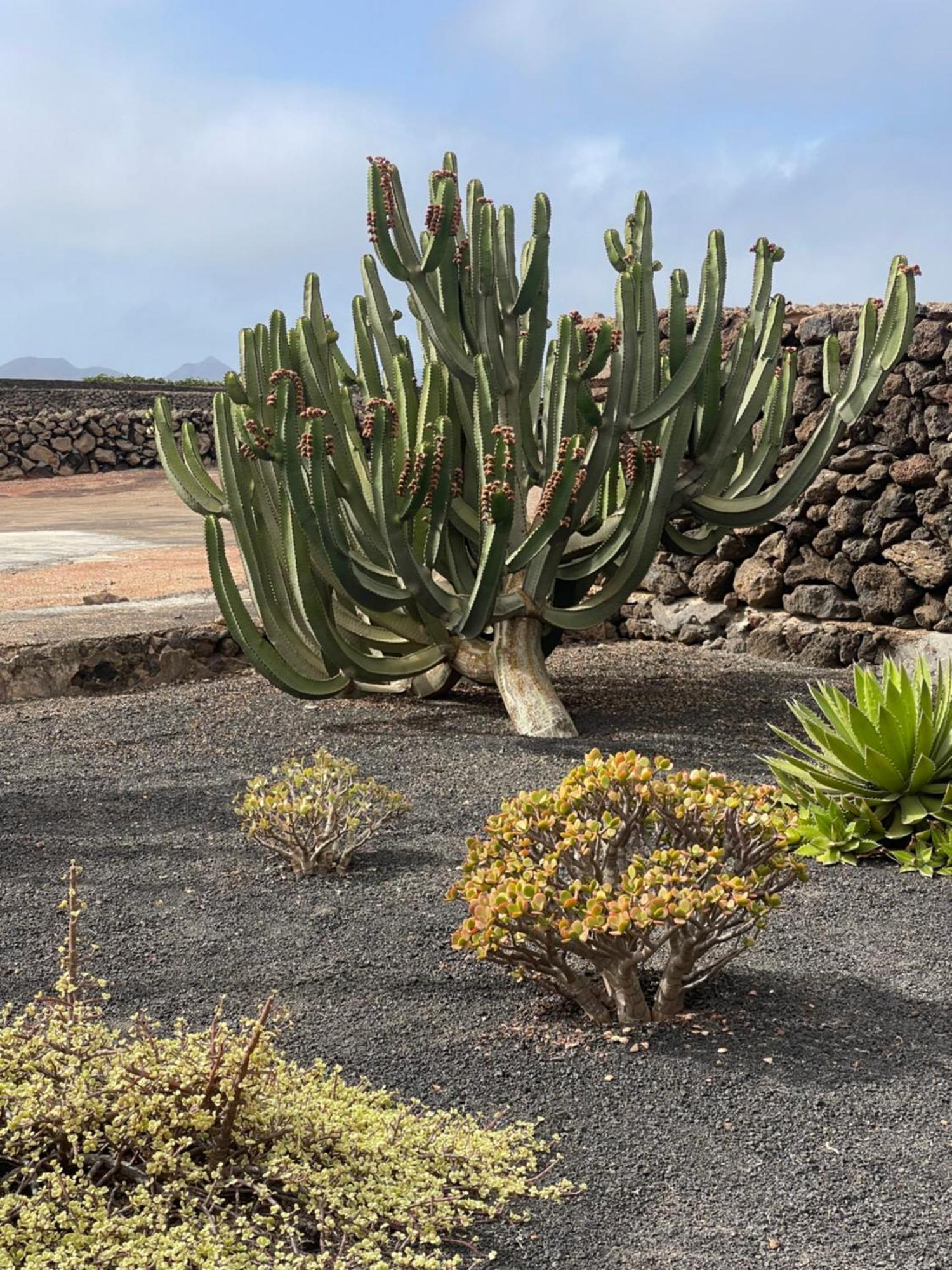 Villa Timanfaya Tinajo Exteriér fotografie